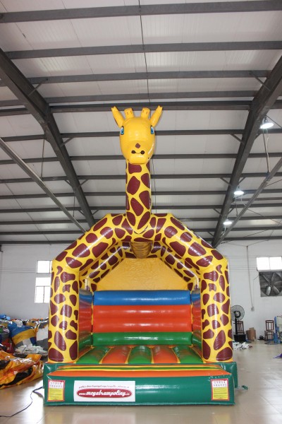 žirafa  1